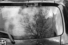 black and white photo of car windshield with tree reflection