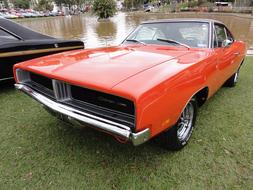 Shiny, vintage, red Dodge Charger car near the other colorful cars, on the green grass near the water