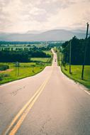 Road Pavement Green