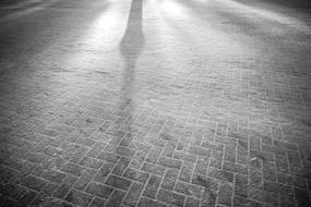 Pavement road in snow, in light and shadows, in the winter