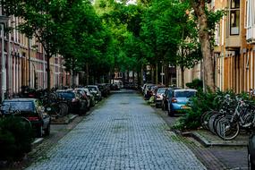 Street and Houses in City