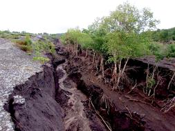 Beautiful landscape of the ravine, among the green plants