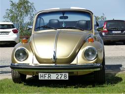 Volkswagen Car Gold