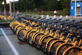 The Little Yellow Car Shared Bike