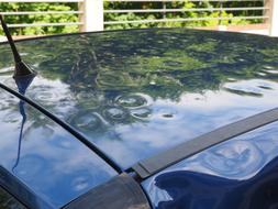 Hail Damage Auto Car Roof Paint