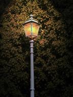 Street Lantern Shining in park