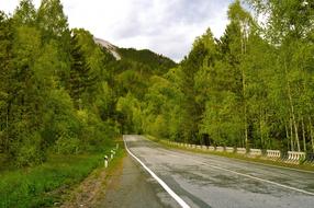 Beautiful landscape of the road, among the green and yellow trees, on the mountains