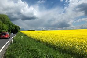 Oilseed Rape Clouds Dramatic