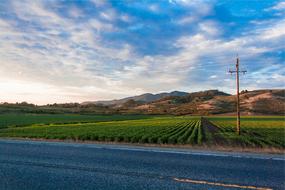 Street Farmland