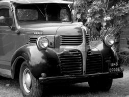 Truck Vehicle Transportation
