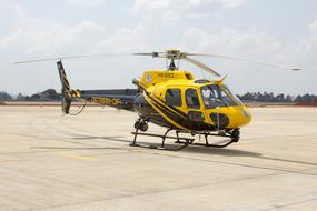 Yellow and black helicopter on the asphalt field, at background with the trees