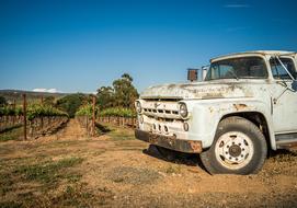 Vineyard Wine Napa car