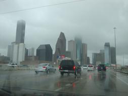 Skyline Rain City