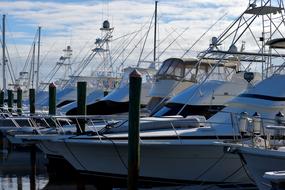 Boat Marina Yachts Luxury