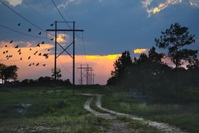 Landscape of Road Power Lines