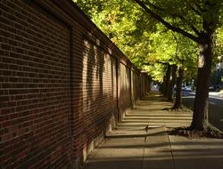 Brick Wall Street Sidewalk Shade