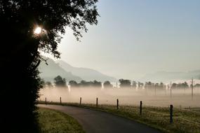 Road Infrastructure Fog