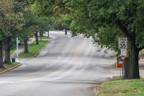 Street Trees Road