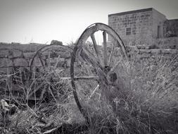 Cart Wheel Old