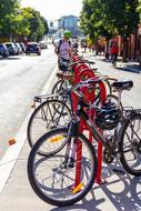 Cyclist Bicycle Person