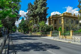 Trees on Street in cyprus