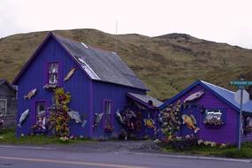 Dutch Harbor Alaska Mountains