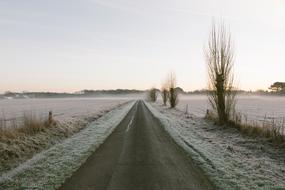 Road Path Grass