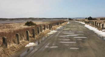 Beach Road Posts