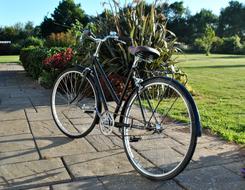 Bike in garden