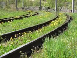 Railroad Track Rails Rail