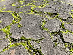 Concrete Moss Street