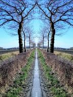 Nature Landscape Road