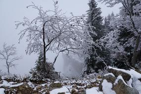 Creux Du Van Mountains Abyss