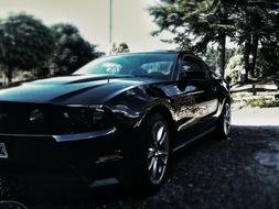 Mustang Ford Auto