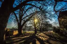Reading England Shadows