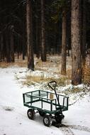 Cart at Daylight Environment