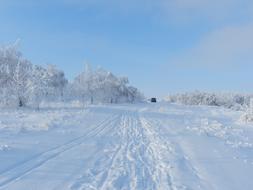 Road Snow Landscape