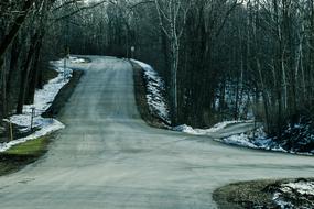 Road Trees Winter