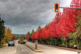City Autumn Roads