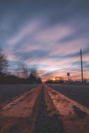 Road Street Trees