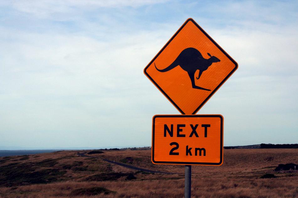 Orange and black shield with the signs, with the kangaroo, on the beautiful and colorful landscape, in Australia