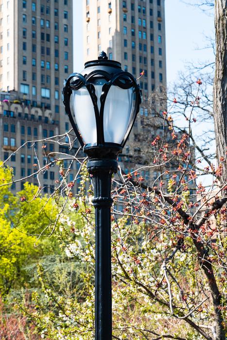Beautiful, black street lamp, among the colorful plant in the central park in New York City, USA