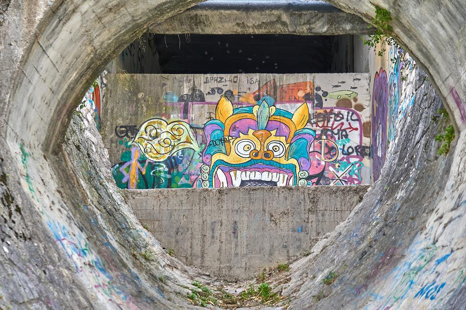 Beautiful and colorful graffiti with the creatures, on the wall