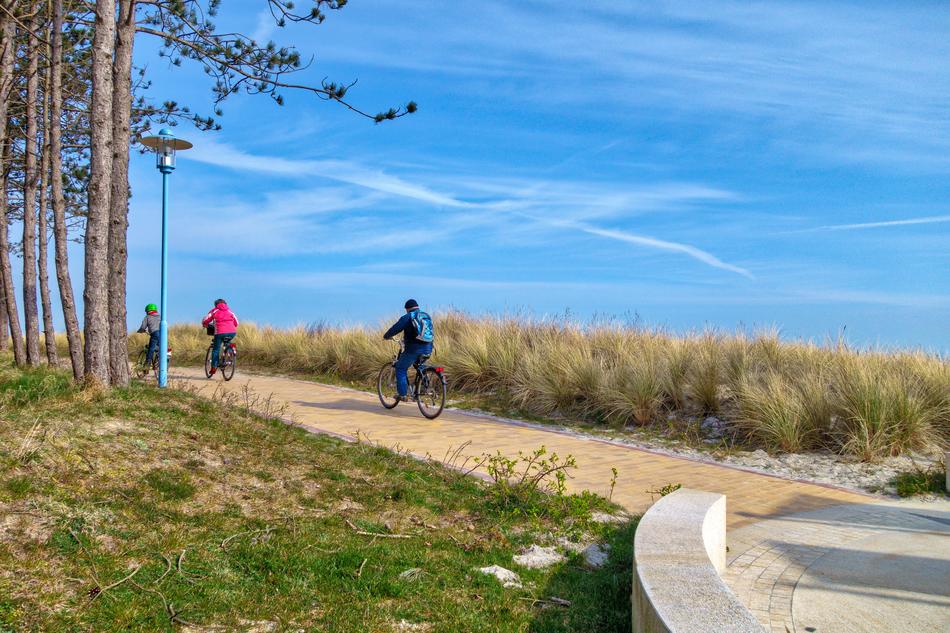 bicycle riders on road at nature