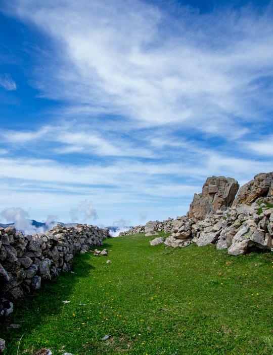 stones on green grass in a clear landscape