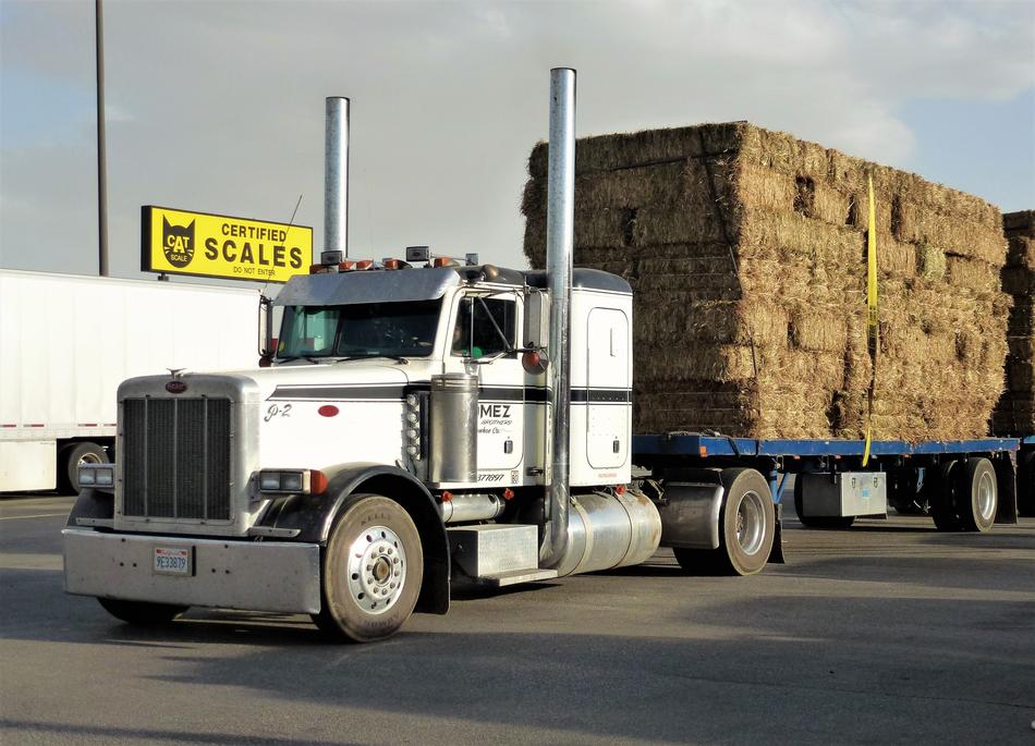 Trailer on the asphalt, in light, in USA