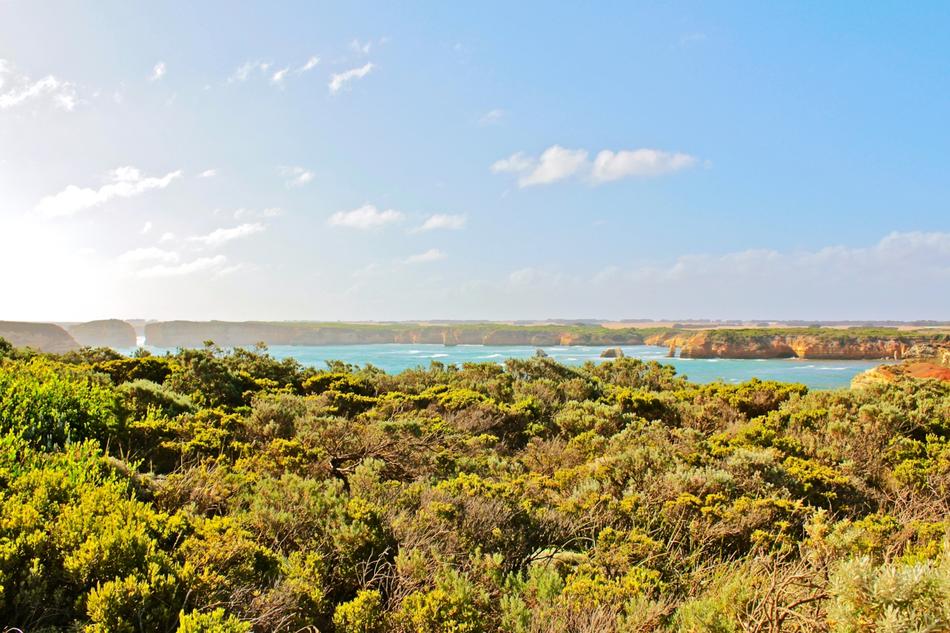 Beautiful landscape of the Great Ocean Road with the colorful trees in Australia
