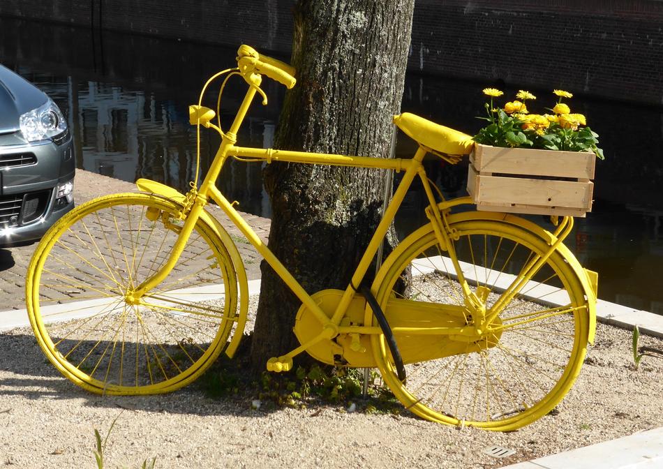 Transport Bicycle Spring white tree