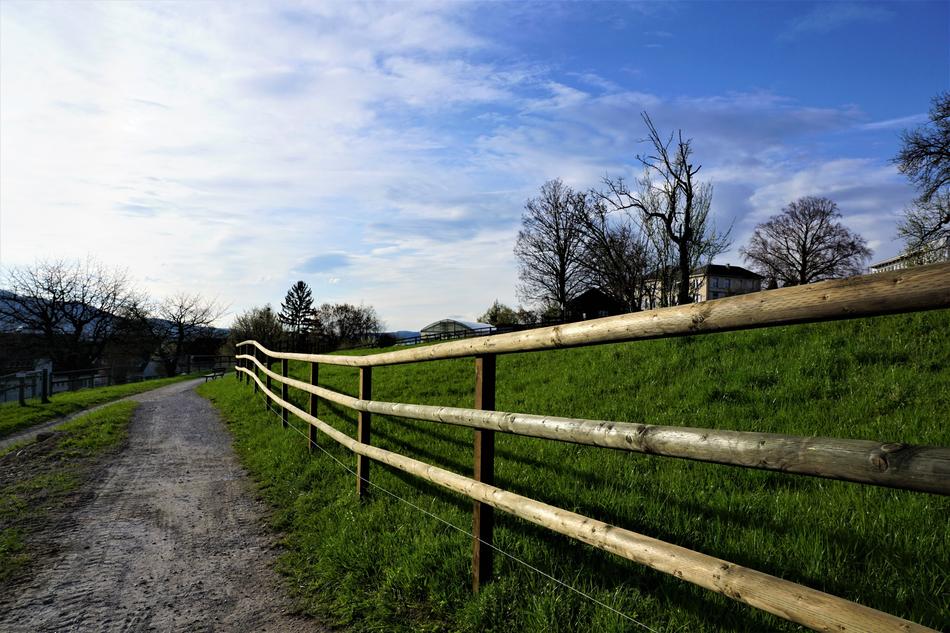 Landscape of nature Zollikon Zurich