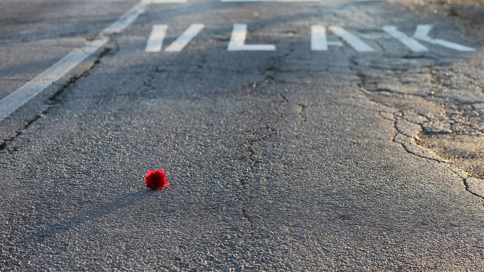 Close-up of the road with the little, red rose and white 'VLAK' sign